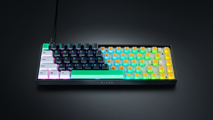 Die Reclusa X Mini 65% von Razer (Bild: Razer)